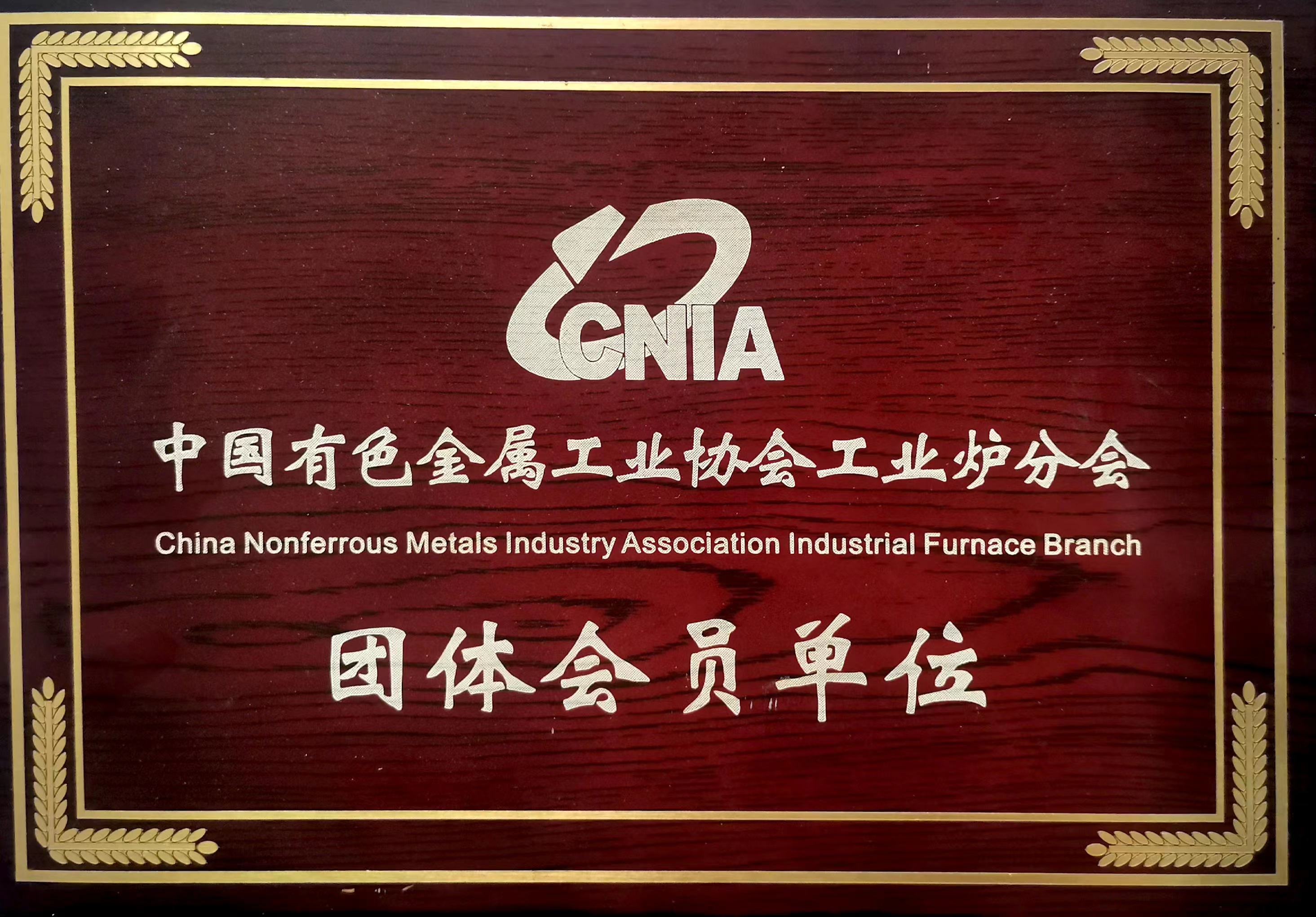 中國(guó)鋁業(yè)協(xié)會(huì)會(huì)員單位